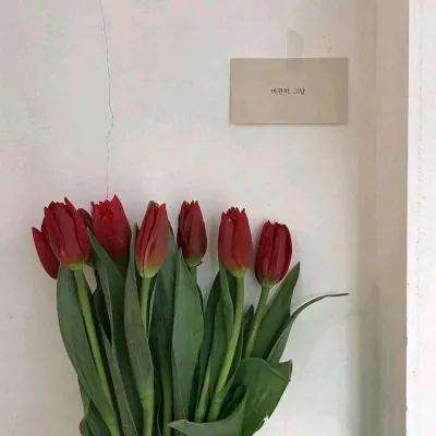 征战九州手游官方下载